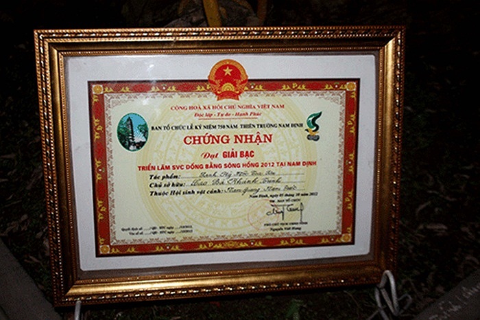 'Kỳ mộc tọa sơn' từng đoạt giải bạc trong triển lãm SVC đồng bằng sông Hồng 2012 tại Nam Định(Theo Kiến thức)