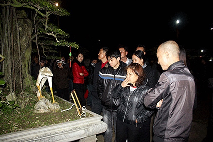 Được mang ra triển lãm đầu xuân dịp chợ Viềng, Nam Định đêm mùng 7, ngày 8 âm lịch (đêm 16, ngày 17/2) vừa qua, 'Kỳ mộc tọa sơn' thu hút đông đảo khách tham quan.(Theo Kiến thức)