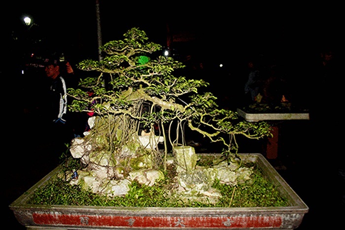 (Theo Kiến thức)