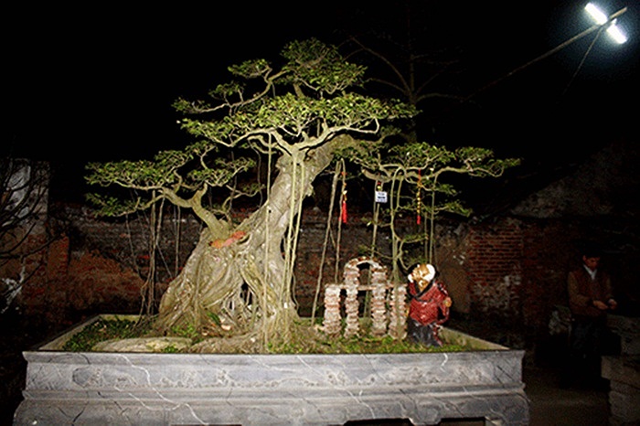 (Theo Kiến thức)