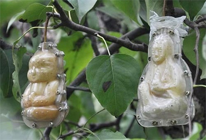 Lê hình mặt trẻ sơ sinh hay bất kì hình nào cũng có thể tạo ra nhờ những khuôn nhựa