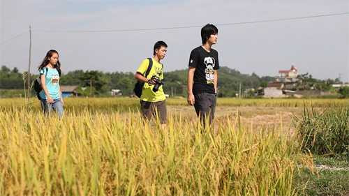 'Thảm họa điện ảnh' đại náo Cánh diều 2013