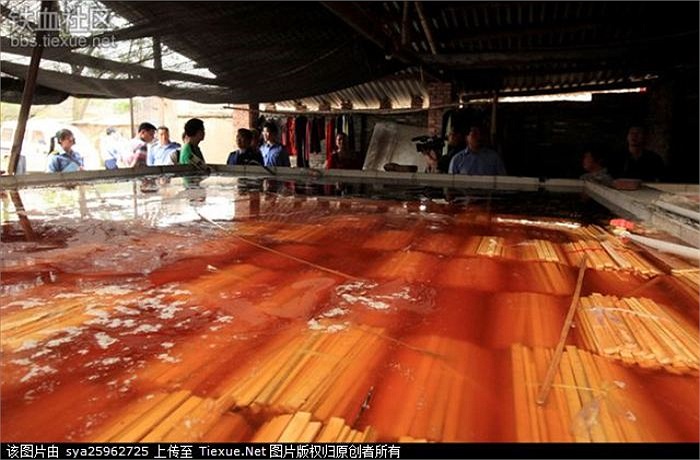 Bể ngâm đũa với số lượng lớn có màu khác thường