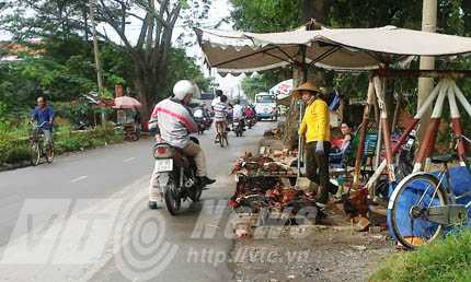 Xem gia cầm ùn ùn mang bệnh vào Sài Gòn