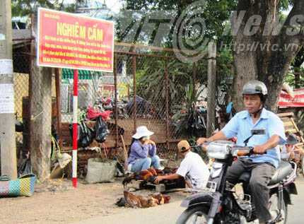 Xem gia cầm ùn ùn mang bệnh vào Sài Gòn