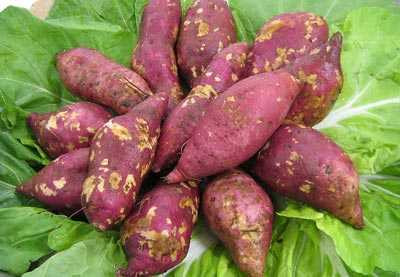 9 loại thức ăn làm sạch ruột, nhẹ người