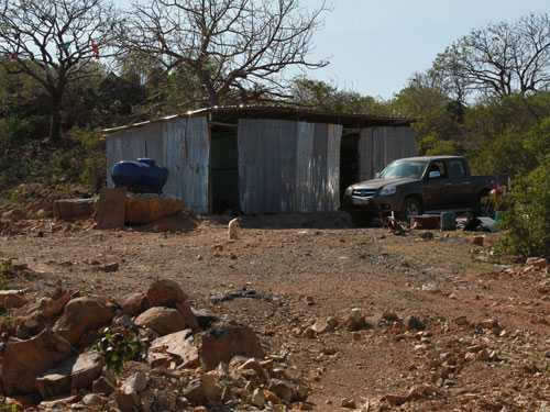 Ăn Tết trên 'kho vàng 4.000 tấn'