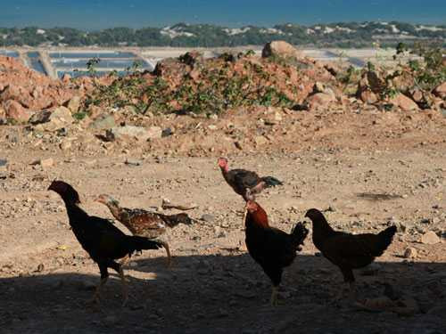 Ăn Tết trên 'kho vàng 4.000 tấn'