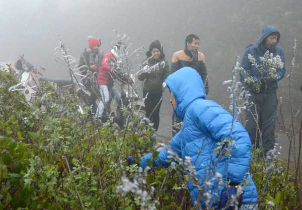 Ảnh: Băng tuyết trên đỉnh đèo Ô Quý Hồ