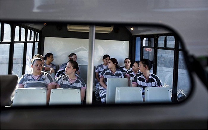 Chiếc xe chở họ tới những địa điểm làm việc