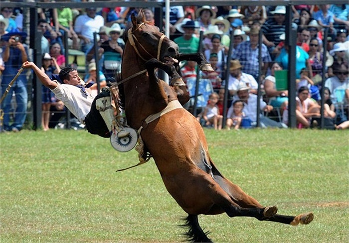 Kỵ sĩ người Paraguay trong lễ đua ngựa truyền thống được tổ chức hằng năm tại quốc gia này