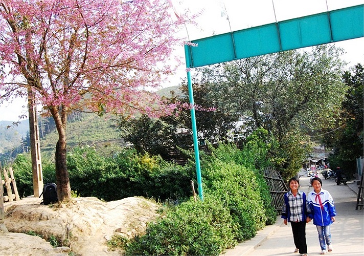 Một mùa xuân căng tràn sức sống đang đến với người dân nơi đây... (Ảnh: Nguyễn Dũng)