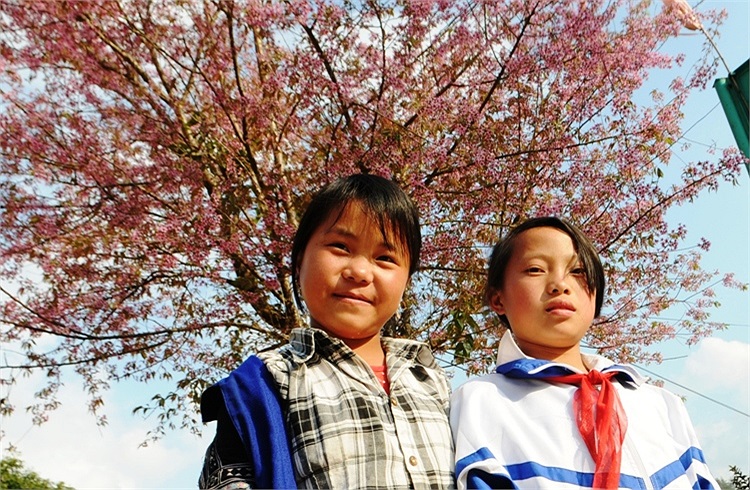 Hai em gái ở xã La Pán Tẩn, huyện Mù Cang Chải duyên dáng dưới gốc đào tươi thắm... (Ảnh: Nguyễn Dũng)