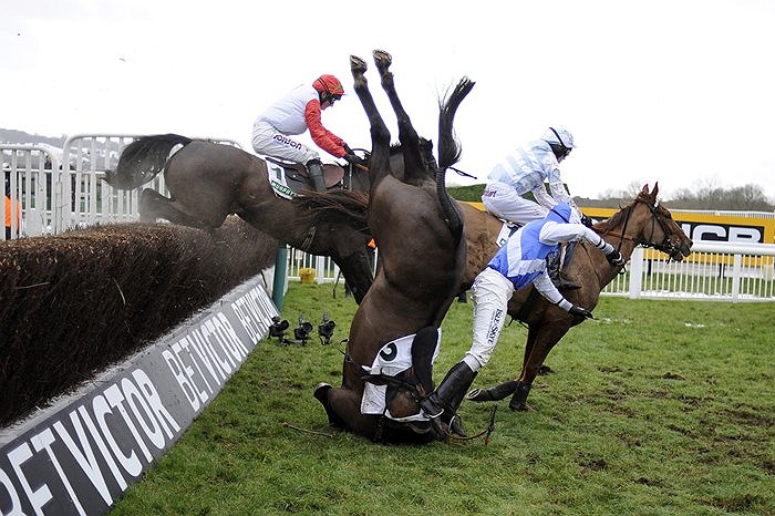 Pha vượt vào không thành công của vận động viên tại giải đua ngựa ở Cheltenham, Anh