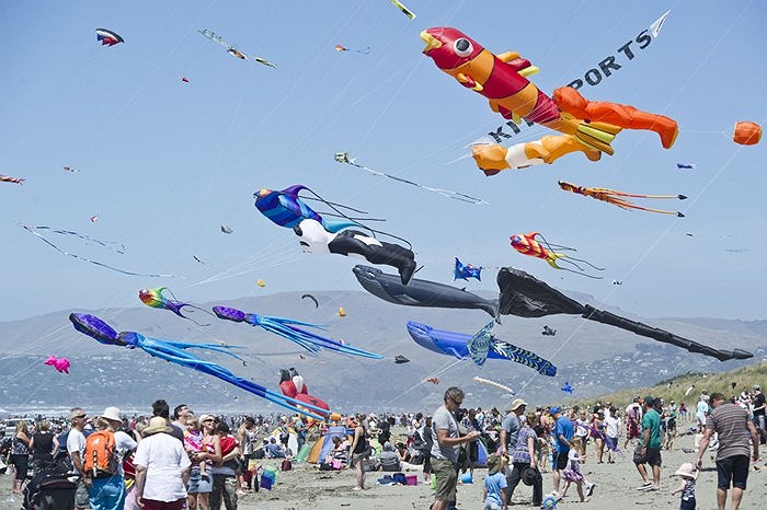 Những con diều trong lễ hội diều hàng năm được tổ chức tại New Brighton, New Zealand