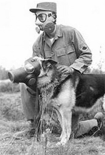 Đeo mặt nạ đi tuần tra cùng các binh sĩ trên chiến trường