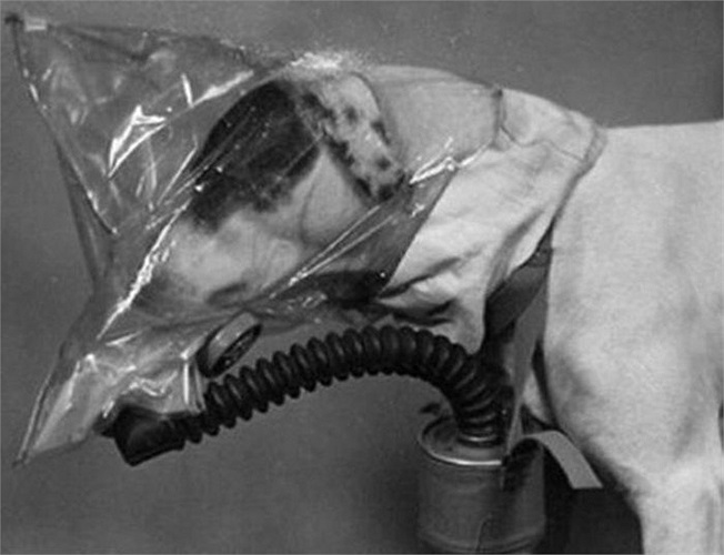 Điểm yếu của thiết bị này là hạn chế khả năng tấn công bằng răng của các chú chó nghiệp vụ trong một số trường hợp