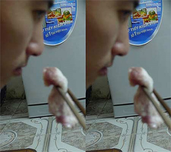 Ngay cả mùi thịt thối cũng không còn