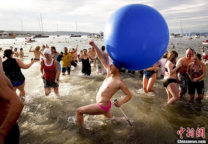 Người dân Canada tham gia chương trình có tên bơi với gấu bắc cực để đón năm mới