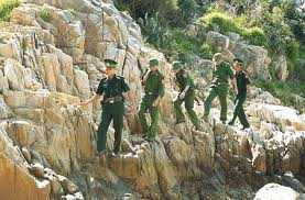 Ảnh: Sắc xuân rực rỡ biên giới