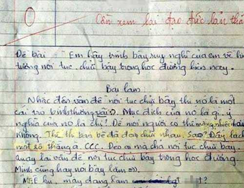 Bài văn về 'chửi bậy' xôn xao cư dân mạng