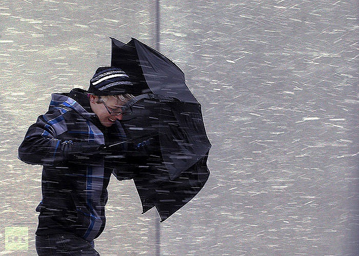 Tuyết rơi dày kèm gió lớn khiến nhiều người gặp khó khăn khi đi ngoài đường