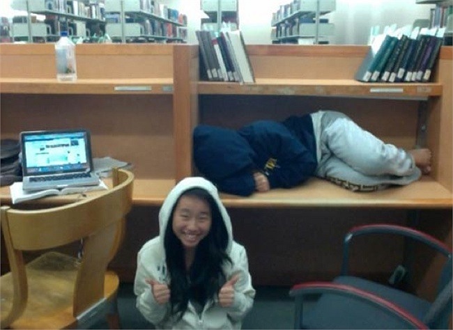 Chui cả vào ngăn tủ sách để ngủ