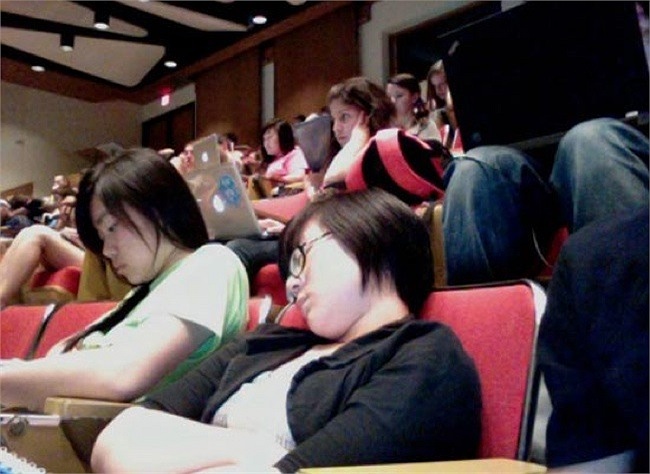 Ngủ mọi lúc mọi nơi có thể!