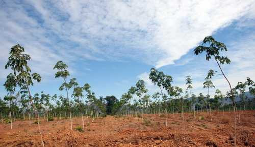 Bầu Đức đã rải tiền ở những quốc gia nào?