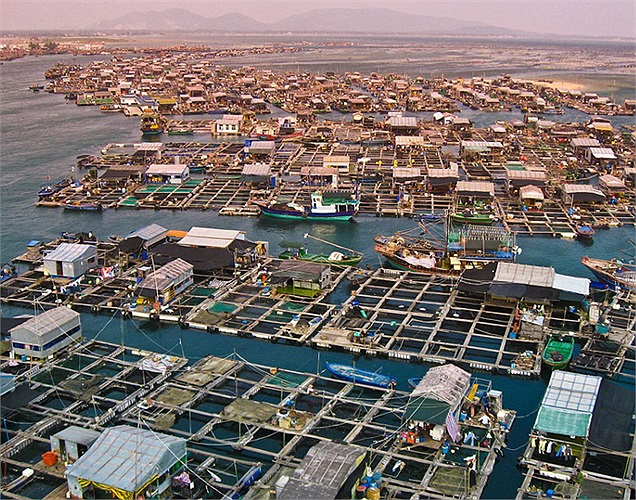 Từ trước tới nay, khoảng 3.500 ngư dân làng chài Dadun đã quen với những căn hộ di động trên sông như thế này. 