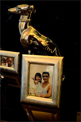 Lối vào khá rộng, xung quanh trồng nhiều cây xanh, có hồ cá ngay phía trước cửa chính. Nội thất gỗ quý tạo sự nổi bật với không gian trắng sáng. Ở mỗi lầu đều có quầy bar và nhân viên phục vụ mỗi khi gia chủ có khách.