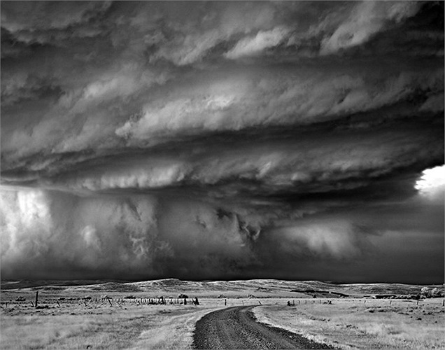 Bức ảnh Bear’s Claw chụp tại Moorcroft, Wyoming năm 2010.