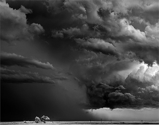 Bức ảnh Trees-Clouds chụp tại Texline, Texas năm 2009. 