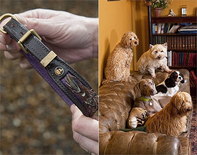 Dây quàng cổ dành cho cún được khách sạn thiết kế thủ công. Số lượng cún cưng mà khách sạn có thể đón tiếp tối đa là 10, để đảm bảo dịch vụ cá nhân tốt nhất. 