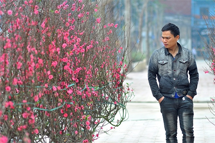 Vị khách đang tìmchọn cho mình một cây đào ưng ý nhất