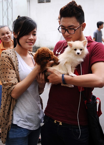 Có vóc dáng nhỏ nhưng chú Poodle Dog màu chocolate (trên tay cô gái) giá không hề mini chút nào, khoảng 1.200 USD một chú cún mới sinh. (Theo VnExpress)