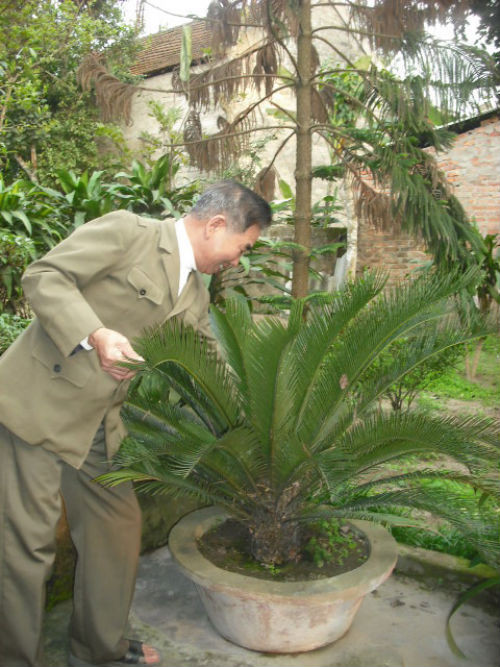 Chuyện giờ mới kể về Bác Hồ