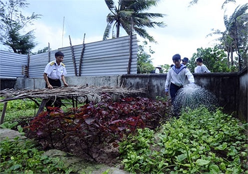 Bộ đội chăm chỉ nên vườn rau trên đảo luôn xanh, mặc cho mưa giông, bão lớn dập vùi.(Theo Quân đội Nhân dân)