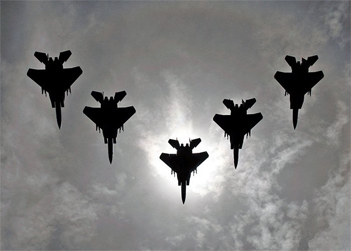 Tổng cộng có hơn 1.200 chiếc F-15 với các phiên bản khác nhau phục vụ ở nhiều quốc gia như Arab Saudi, Israel, Nhật Bản..