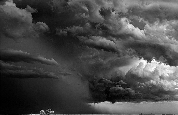 Những ngọn cây cô độc trong cơn bão ở bang Texas