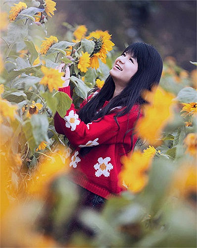 Hà Đan đã từng góp mặt trong 6 bộ phim truyền hình hư: Miền quê thức tỉnh, Giả thiết tình yêu, Kẻ sát nhân có tài mở khóa, Lập trình cho trái tim,...