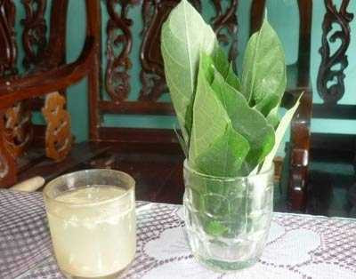 Gặp người 'cải tử hoàn sinh' khi bị rắn cắn