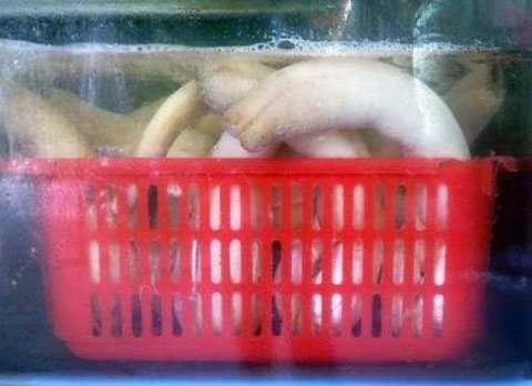 Hải sản tiền triệu trên bàn tiệc đại gia