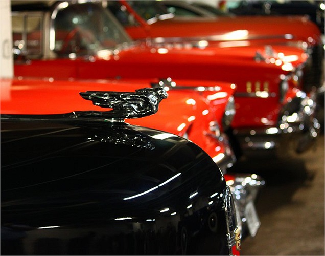 Biểu tượng người phụ nữ với đôi cánh nổi bật trên phần mũi xe Cadillac. 