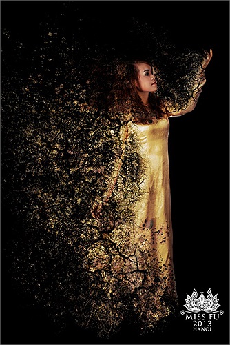 Nguyễn Thị Lan Chi