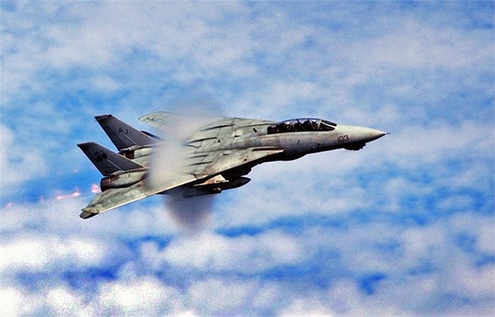 Điểm mạnh của F-14 là tải trọng vũ khí, tuy nhiên khi F/A-18 ra đời, nó trở thành người thay thế xứng đáng cho Tomcat