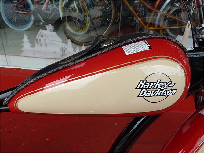 Xe được trang bị hệ thống phanh do Shimano NEXUS sản xuất.