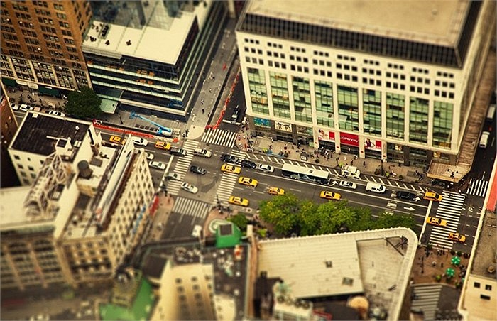 Những chiếc xe taxi vàng quen thuộc của thành phố New York