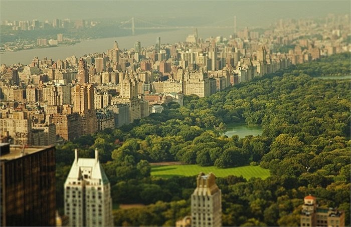 Công viên trung tâm của New York cũng trở nên nhỏ bé hơn bao giờ hết