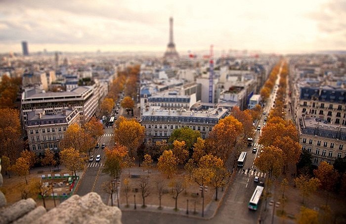 Những rặng cây mùa thu cùng với hình ảnh tháp Eiffel ẩn hiện phía xa xa